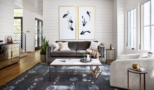  Get The Look: Lavish Living Room