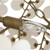 Eucalipto Ivory Chandelier