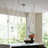Black Celeste Chandelier