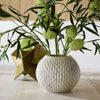 Dorry Vase Set