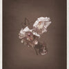 Flor Art Set/2