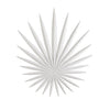 Frond Sconce