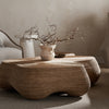 Mervin Coffee Table