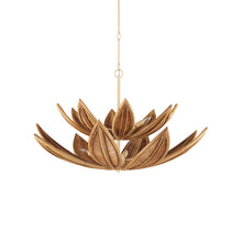  Kanu Chandelier