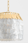 Coquilles Chandelier