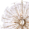 Glass Flower Chandelier