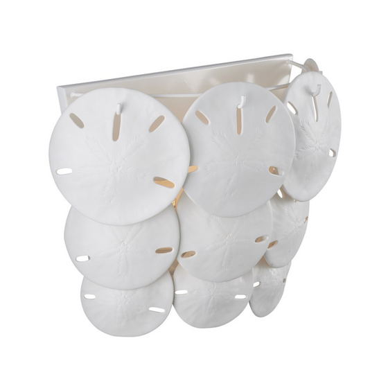 Sand Dollar Sconce