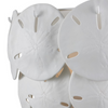 Sand Dollar Sconce