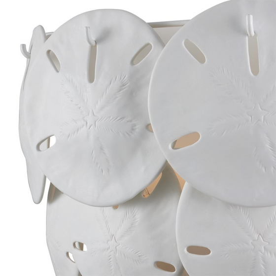 Sand Dollar Sconce